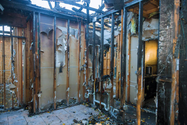 Professional Fire Damage Removal technician working in Shinnecock Hills, NY